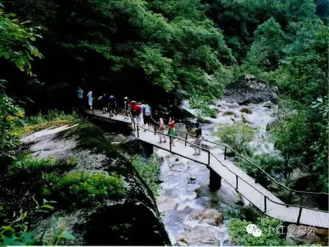 天华山旅游攻略_凤县紫柏山旅游攻略_广州番禺区大夫山旅游攻略