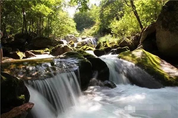 天华山旅游攻略_凤县紫柏山旅游攻略_广州番禺区大夫山旅游攻略