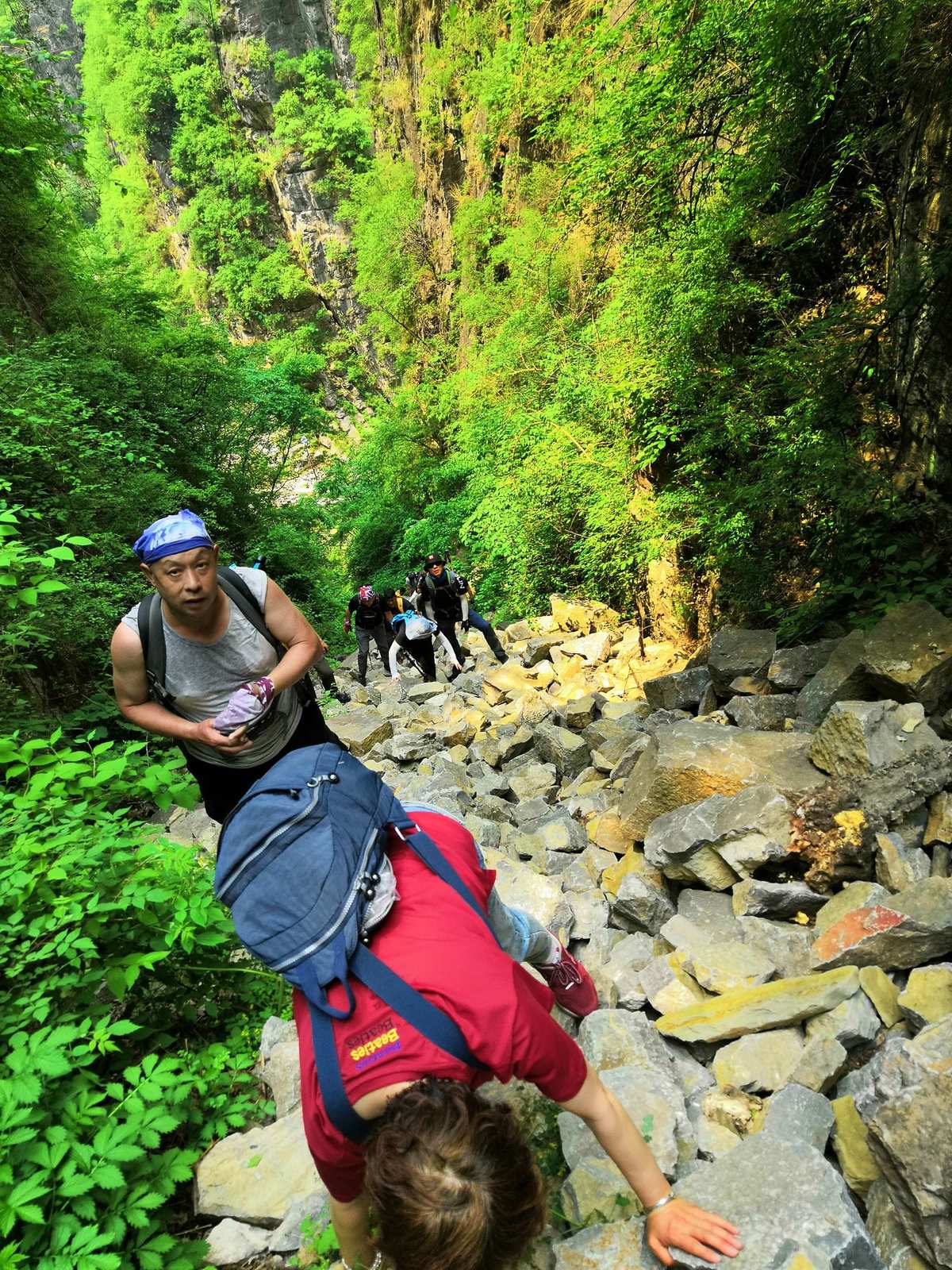 天华山旅游攻略_凤县紫柏山旅游攻略_广州番禺区大夫山旅游攻略