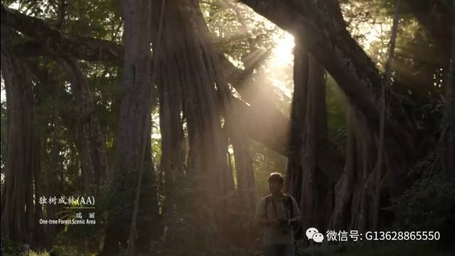 十月腾冲旅游攻略_大理,腾冲旅游攻略_腾冲11月旅游攻略