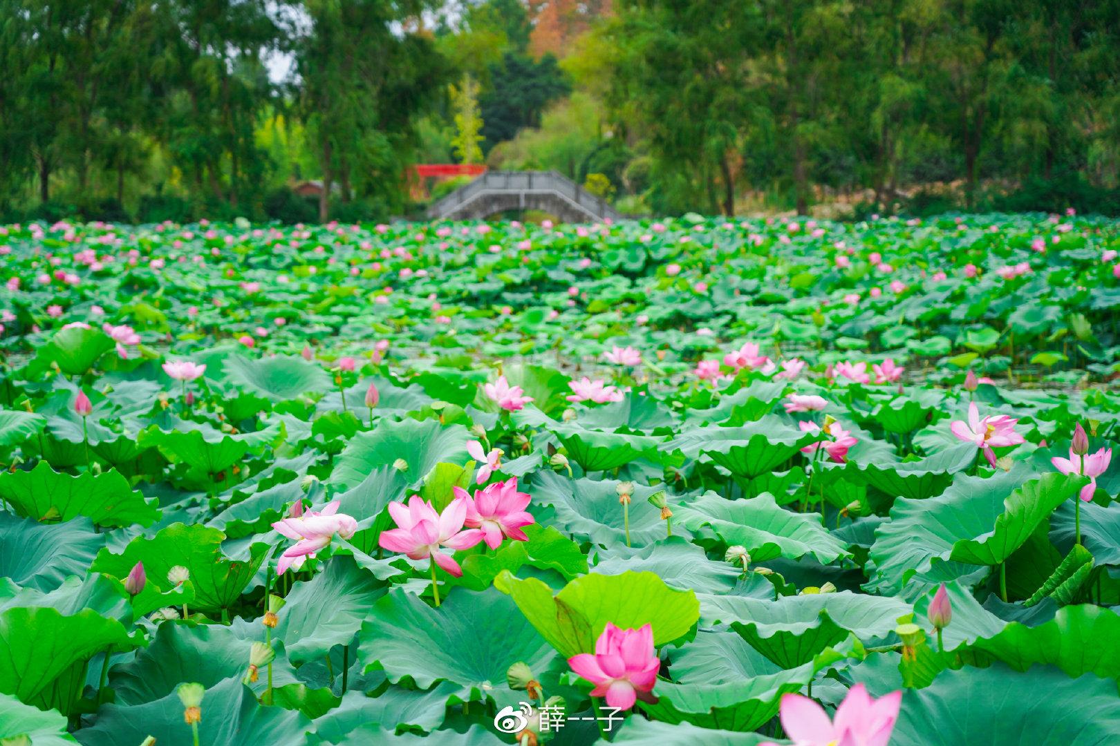 遵义攻略旅游景点_遵义的旅游攻略_遵义旅游攻略