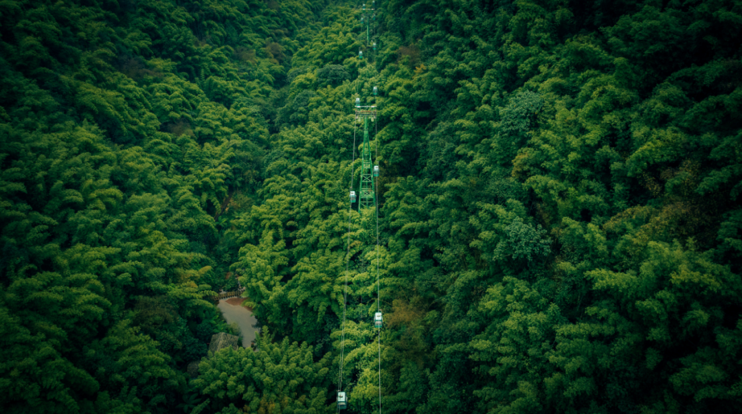 遵义旅游攻略_遵义的旅游攻略_遵义攻略旅游景点