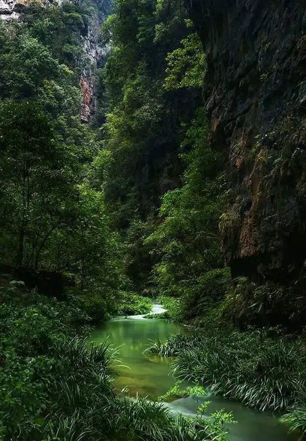 遵义旅游攻略_遵义攻略旅游景点_遵义的旅游攻略