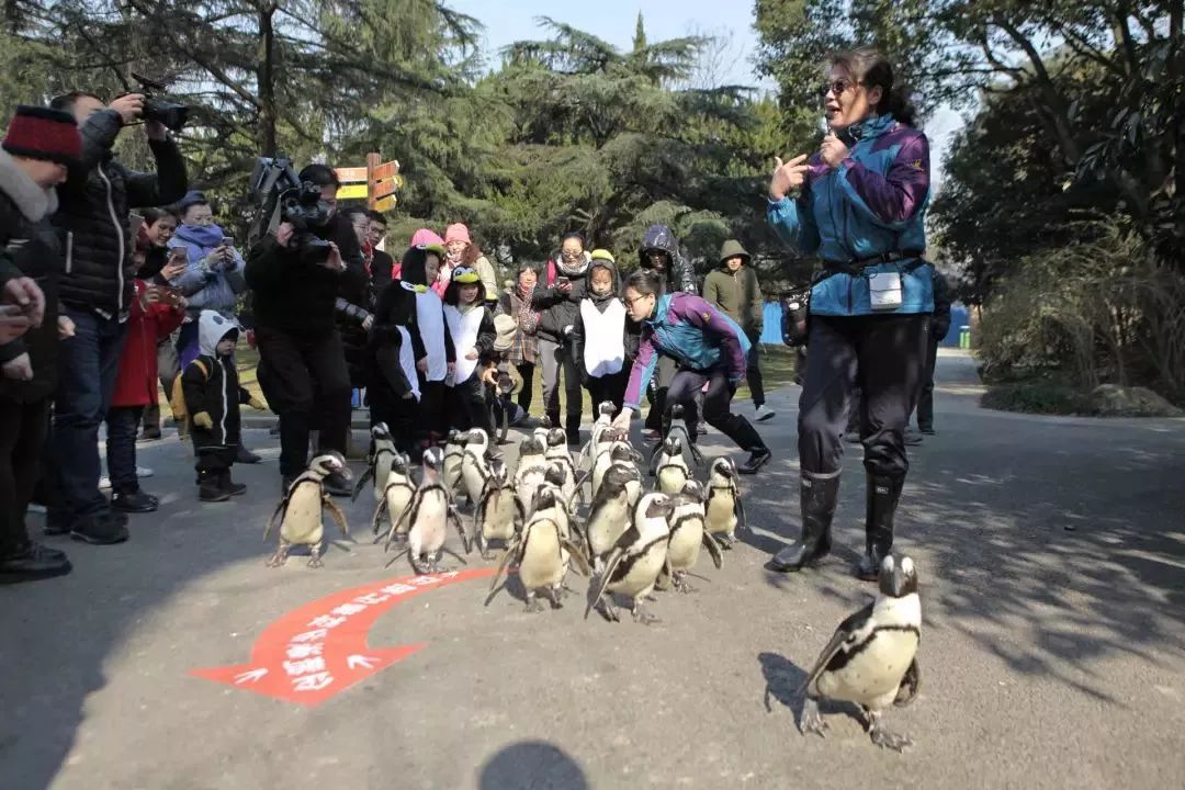 春节期间北京周边好玩的景点_春节期间北京周边游_春节旅游北京周边