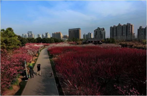 春节期间北京周边好玩的景点_春节期间北京周边游_春节旅游北京周边