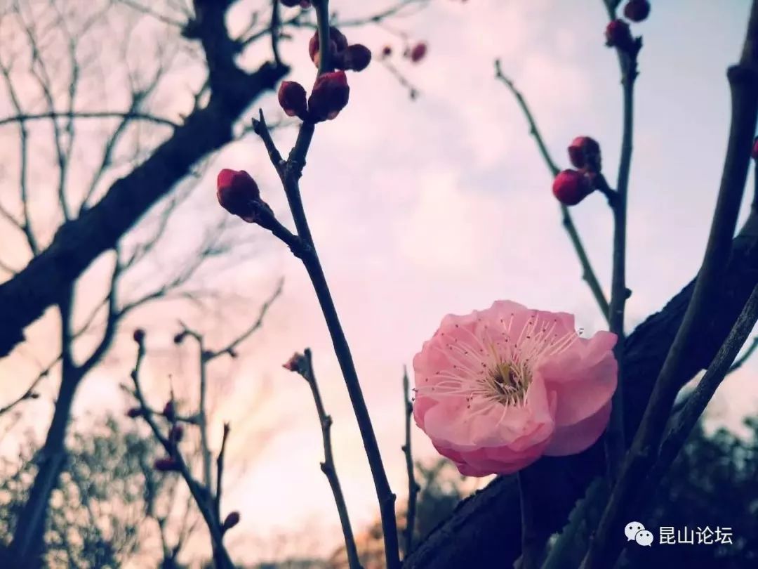 春节旅游北京周边_春节期间北京周边好玩的景点_春节期间北京周边游