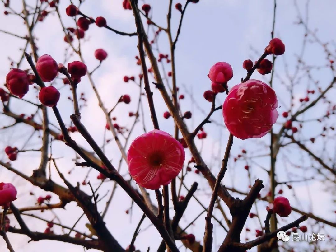 春节期间北京周边游_春节旅游北京周边_春节期间北京周边好玩的景点