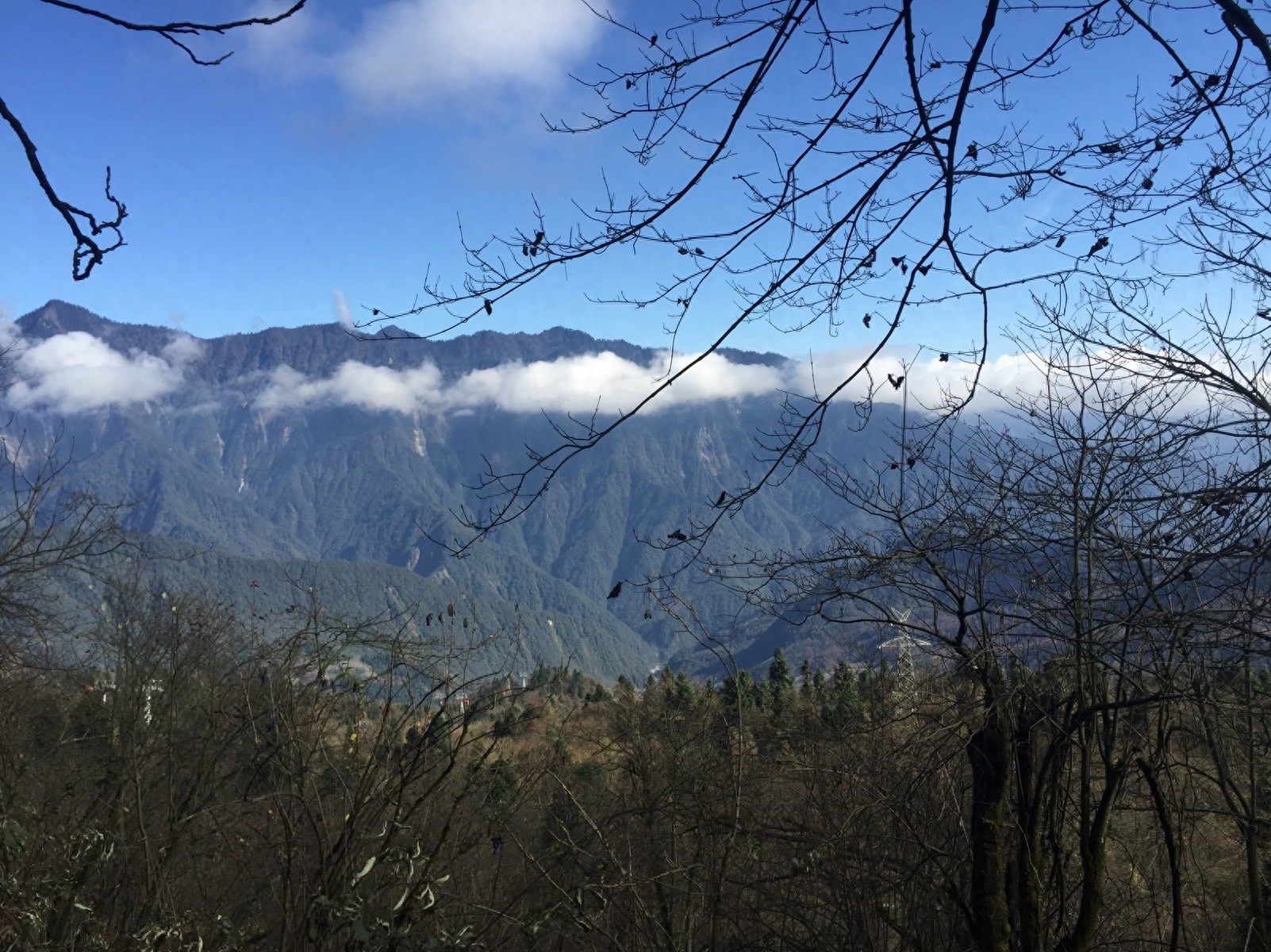 西岭雪山旅游攻略6月_11月西岭雪山_西岭雪山2020年11月