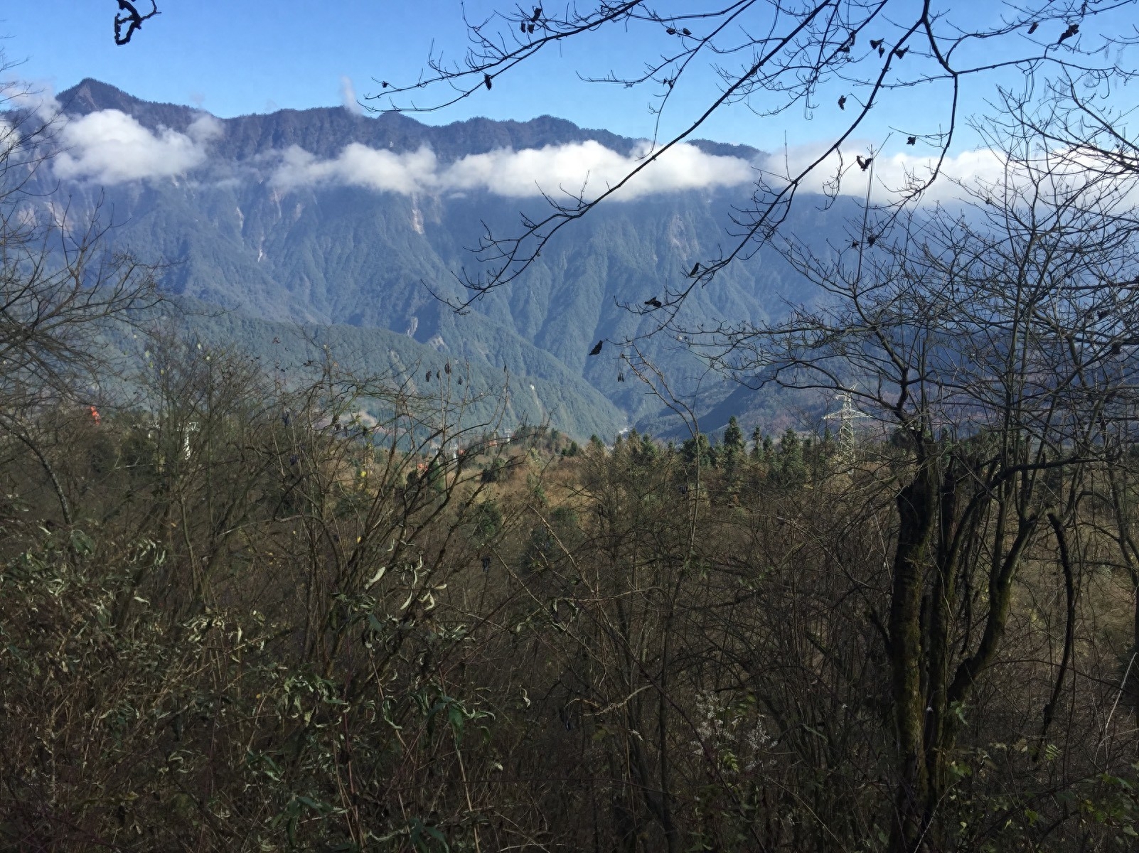 西岭雪山旅游攻略6月_11月西岭雪山_西岭雪山2020年11月