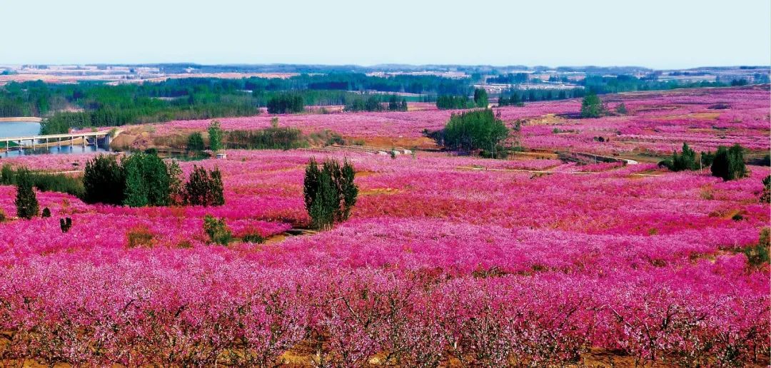 潍坊旅游点_潍坊旅游指南_潍坊市旅游攻略