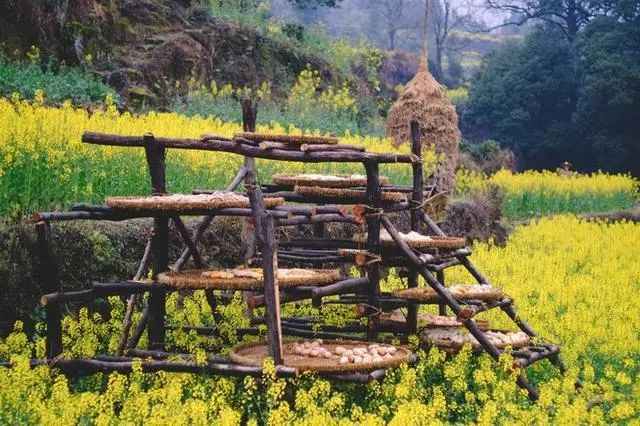 自驾攻略三清旅游山路_三清山旅游自驾攻略_自驾攻略三清旅游山庄