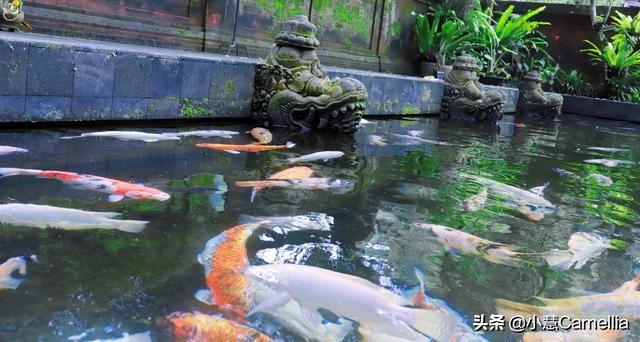 巴厘岛2人旅游攻略花费_巴厘岛旅游花费多少_巴厘岛旅游价格表