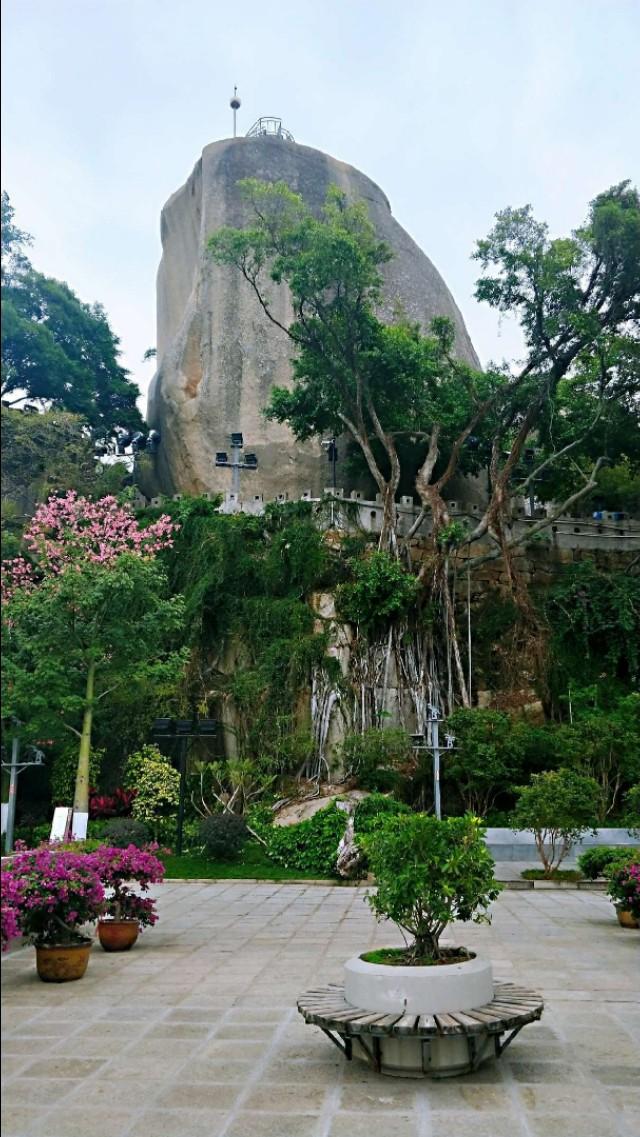 厦门鼓浪屿好玩的景点_厦门鼓浪屿好玩的地方_厦门的旅游景点鼓浪屿