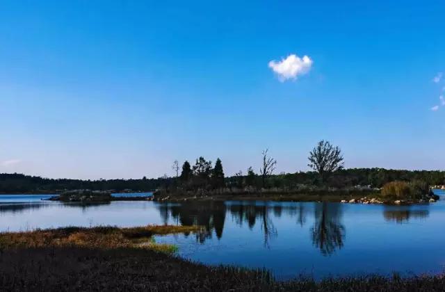 石林景区旅游攻略_石林景区游玩攻略_石林景区景点