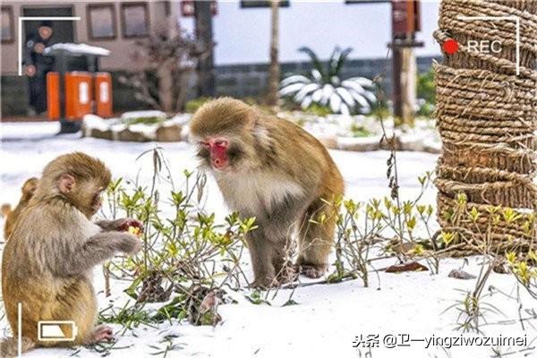 张家界冬季旅游线路_张家界冬天旅游攻略_张家界冬季旅游攻略自由行三天