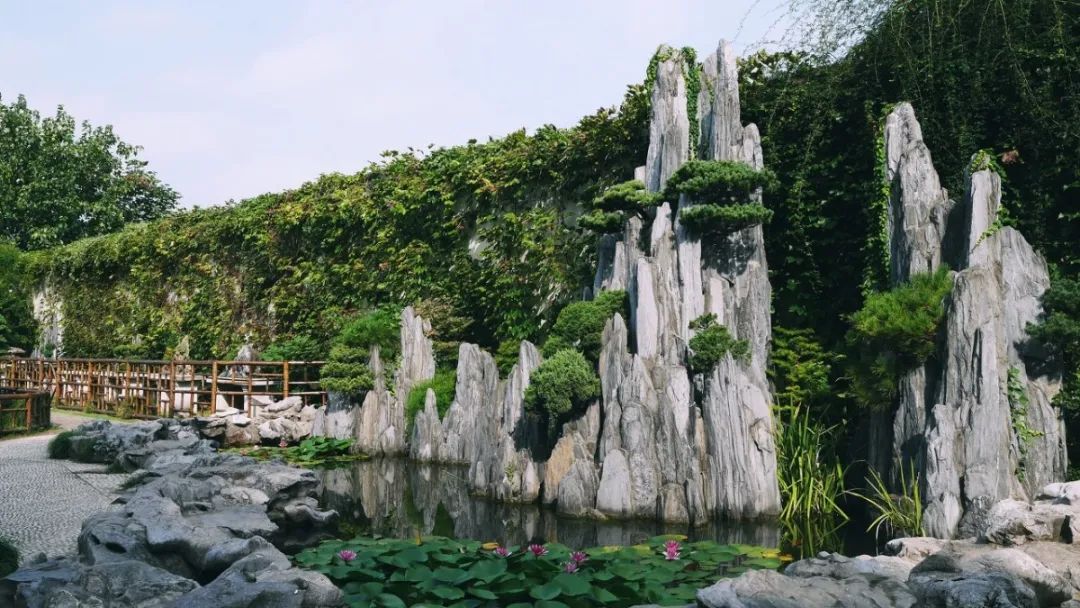 崂山风景游览区_崂山风景区旅游攻略_崂山风景区旅游线路推荐