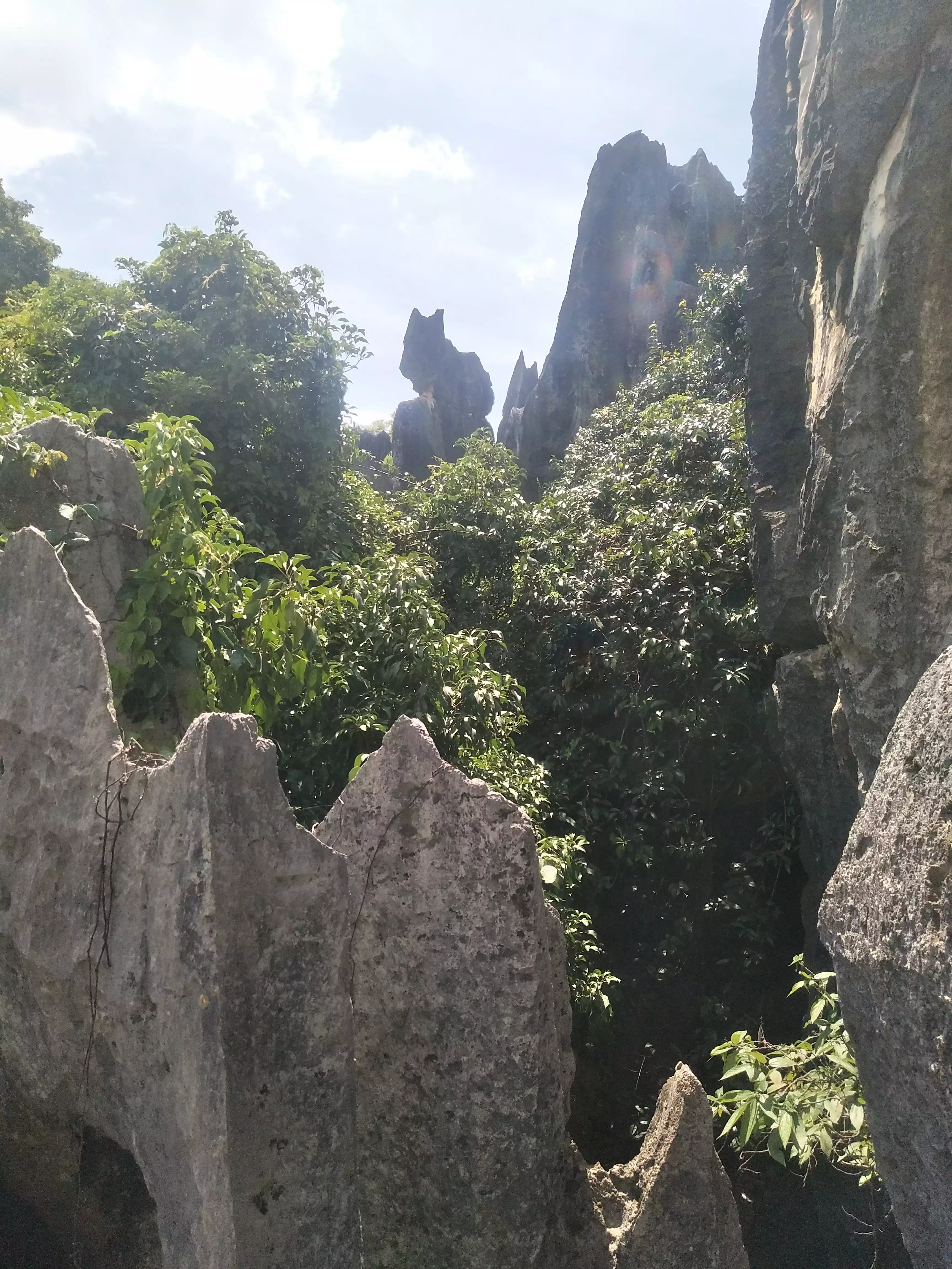 石林景区旅游攻略_石林景区景点_攻略石林景区旅游路线