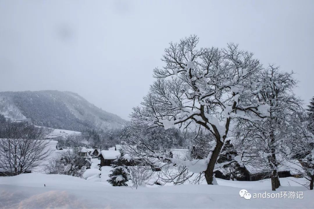 名古屋高山旅游攻略_名古屋高山市_名古屋附近的山