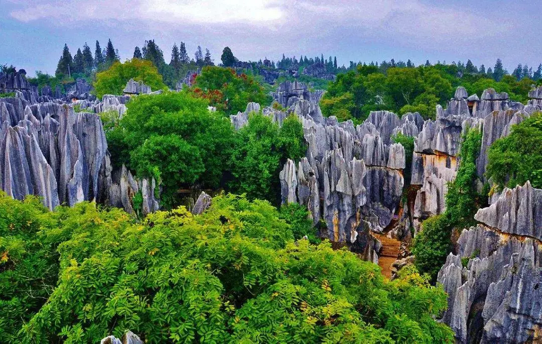 杭州到南麂岛旅游攻略_杭州南麂岛怎么去_杭州到南麂岛自驾游路线