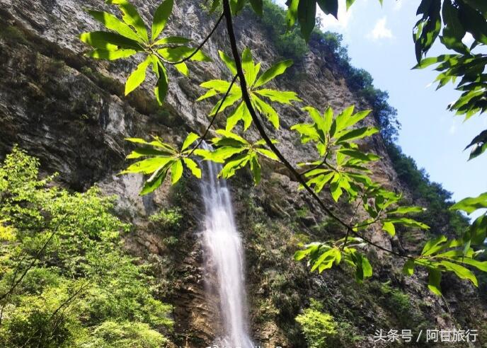 张家界天门山是什么样的山_张家界是天子山景区好玩还是天门山景区好玩_张家界国家森林公园和天门山哪个好玩