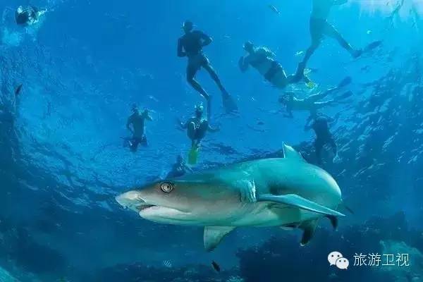 春节海岛旅游推荐_海岛旅游景点推荐国外_国外海岛旅游推荐