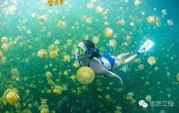 海岛旅游景点推荐国外_国外海岛旅游推荐_春节海岛旅游推荐