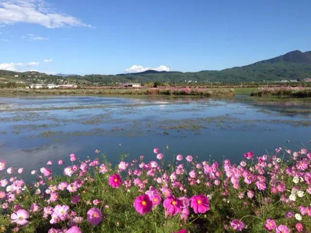 6月份国外旅游_6月份适合去哪里旅游国外_11月份去哪里旅游好国外