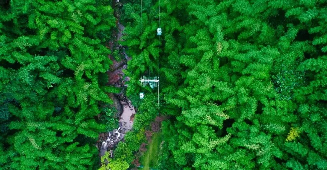 丹霞山游玩攻略_番禺大夫山游玩攻略_水上丹霞游玩攻略