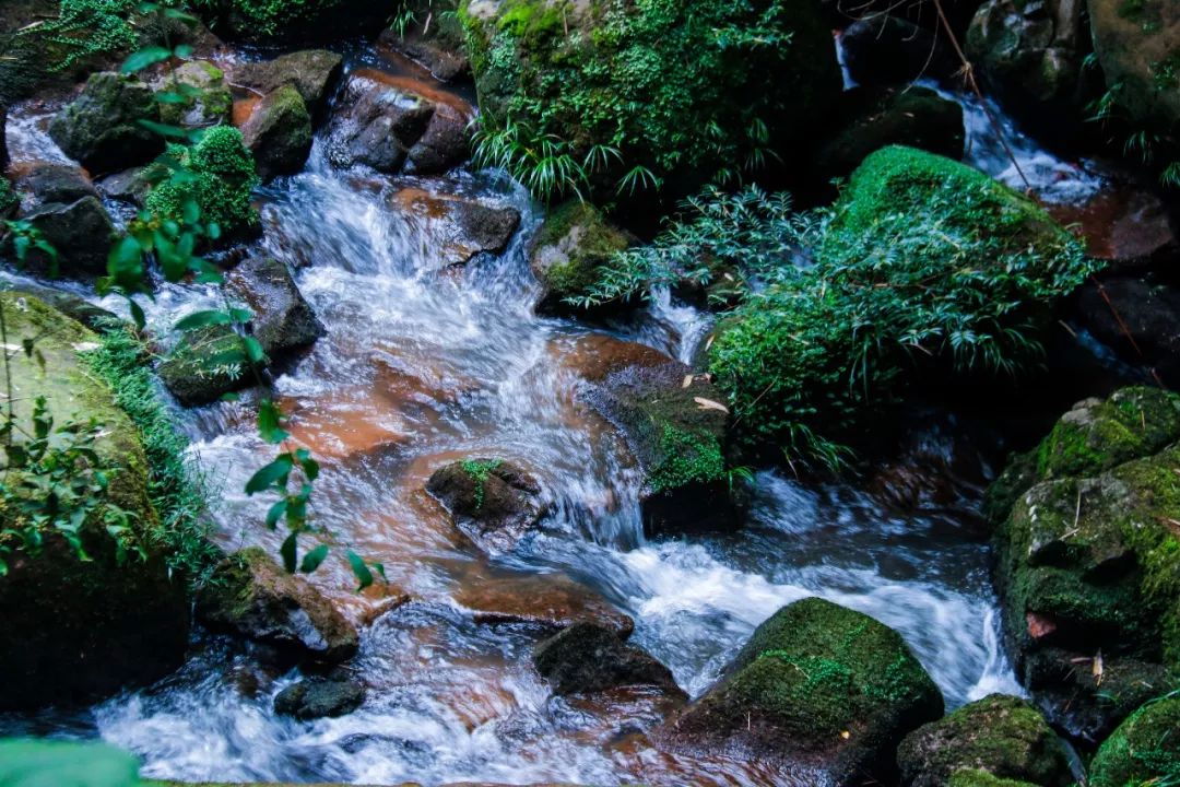 番禺大夫山游玩攻略_丹霞山游玩攻略_水上丹霞游玩攻略