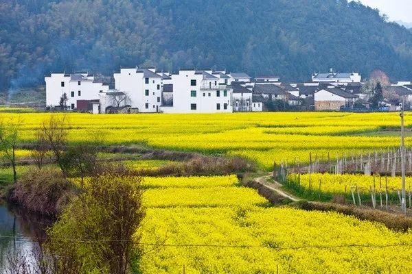 福州去婺源_福州婺源一日游_福州到婺源旅游攻略