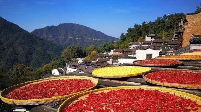 福州婺源一日游_福州去婺源_福州到婺源旅游攻略