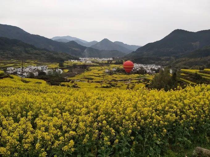 福州去婺源_福州到婺源旅游攻略_福州婺源一日游