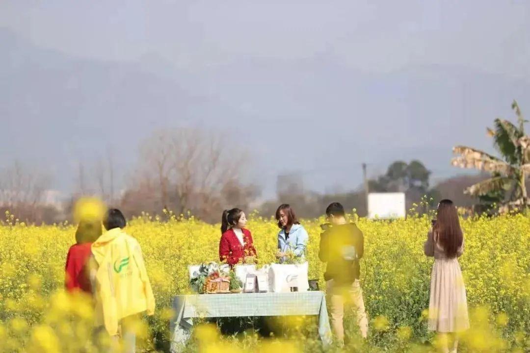 福州到婺源旅游攻略_福州婺源一日游_福州攻略婺源旅游到哪里