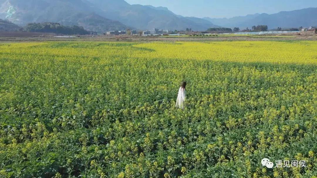 福州攻略婺源旅游到哪里_福州婺源一日游_福州到婺源旅游攻略