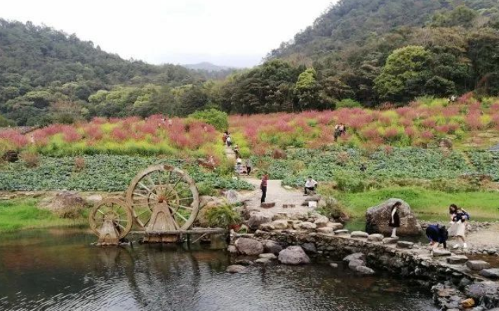 好玩景点广州有哪些_广州好玩的景点排名榜旅游攻略_广州最好玩的景点