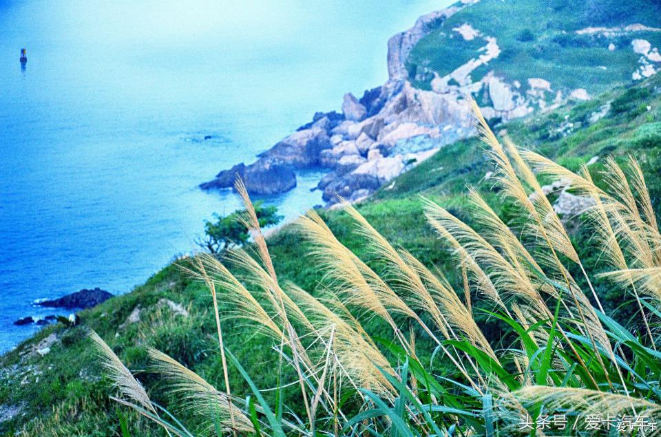 枸杞岛旅游攻略_枸杞岛旅游攻略枸杞岛旅游_枸杞岛攻略二日游