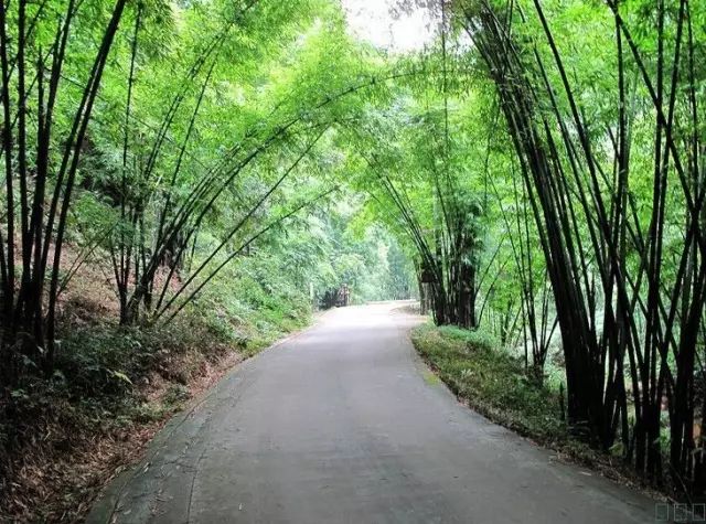 宜兴竹海旅游攻略_南昌到南矶山旅游攻略_成都到蜀南竹海旅游攻略