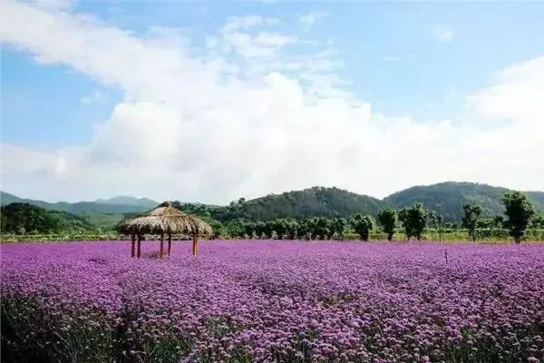 义乌周边好玩的景点_义乌周边景区_义乌周边风景