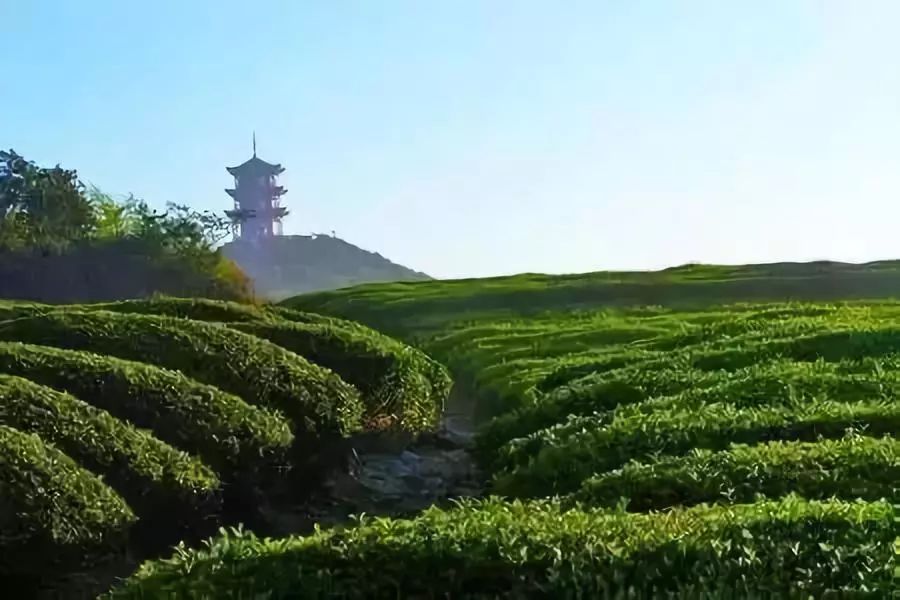 蜀南竹海到成都直通车_成都到蜀南竹海旅游攻略_蜀南竹海从成都怎么走