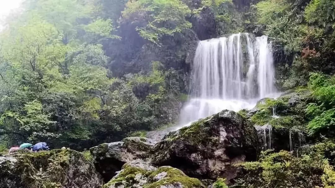 成都到蜀南竹海旅游攻略_蜀南竹海从成都怎么走_蜀南竹海到成都直通车