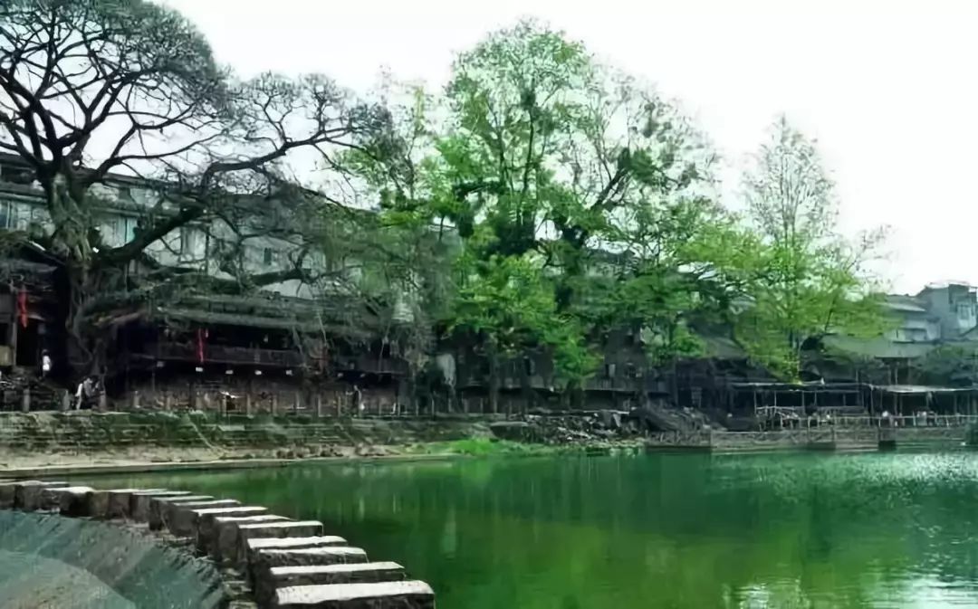 成都到蜀南竹海旅游攻略_蜀南竹海到成都直通车_蜀南竹海从成都怎么走