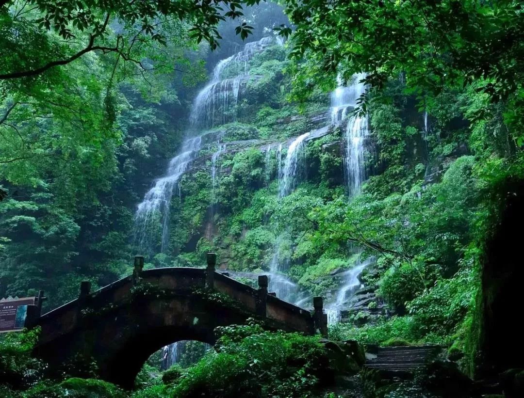 成都到蜀南竹海旅游攻略_蜀南竹海到成都直通车_成都到属南竹海