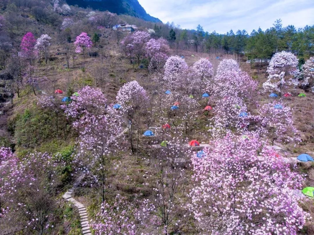 成都到属南竹海_成都到蜀南竹海旅游攻略_蜀南竹海到成都直通车