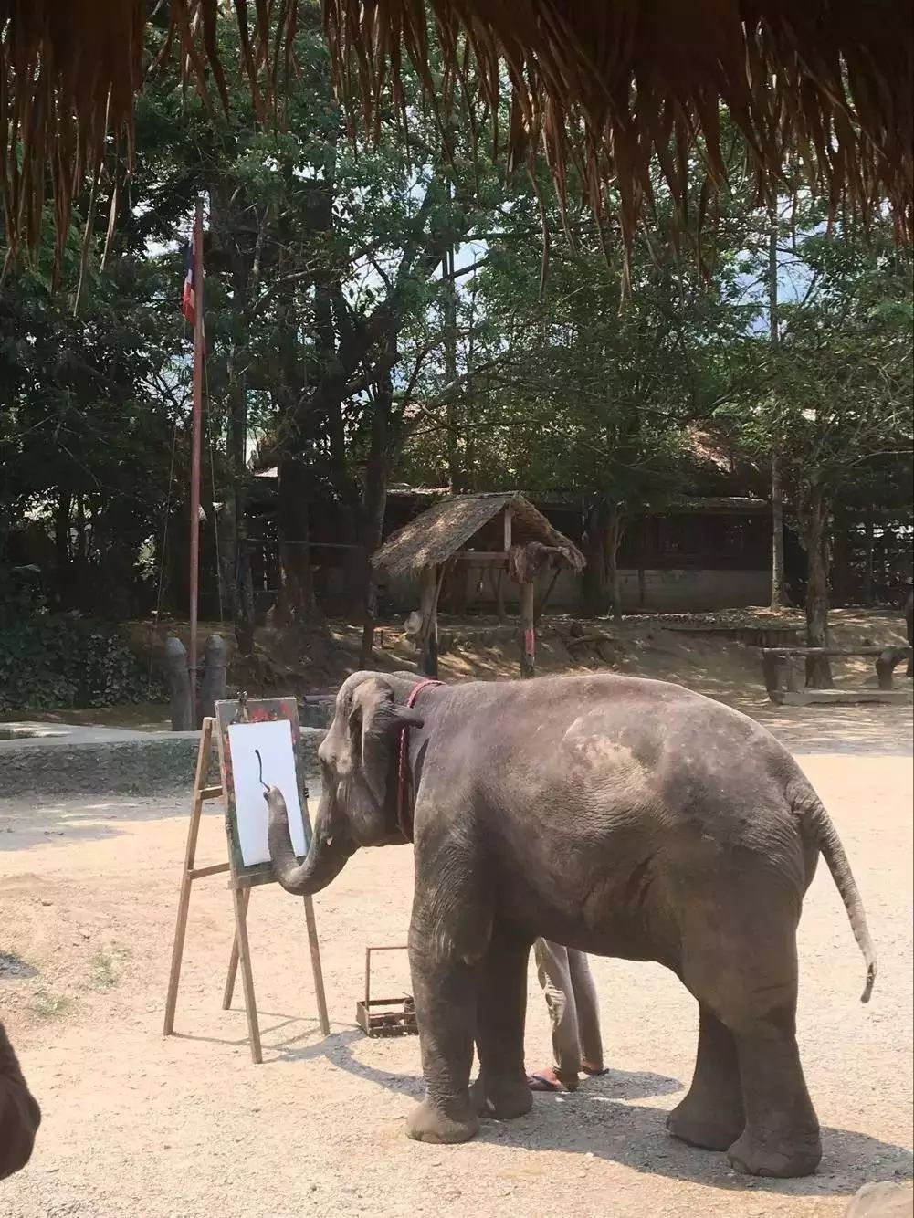 不丹旅行_不丹出国旅游须知_去不丹旅游