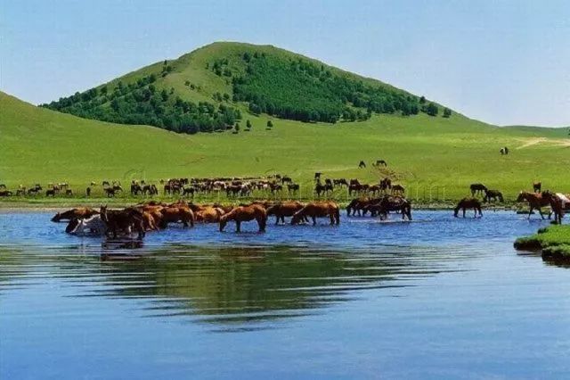 承德雾灵山旅游攻略_承德坝上旅游攻略2天_承德坝上草原旅游攻略