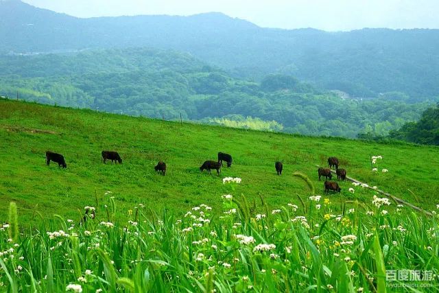 承德雾灵山旅游攻略_承德坝上草原旅游攻略_承德坝上旅游攻略2天