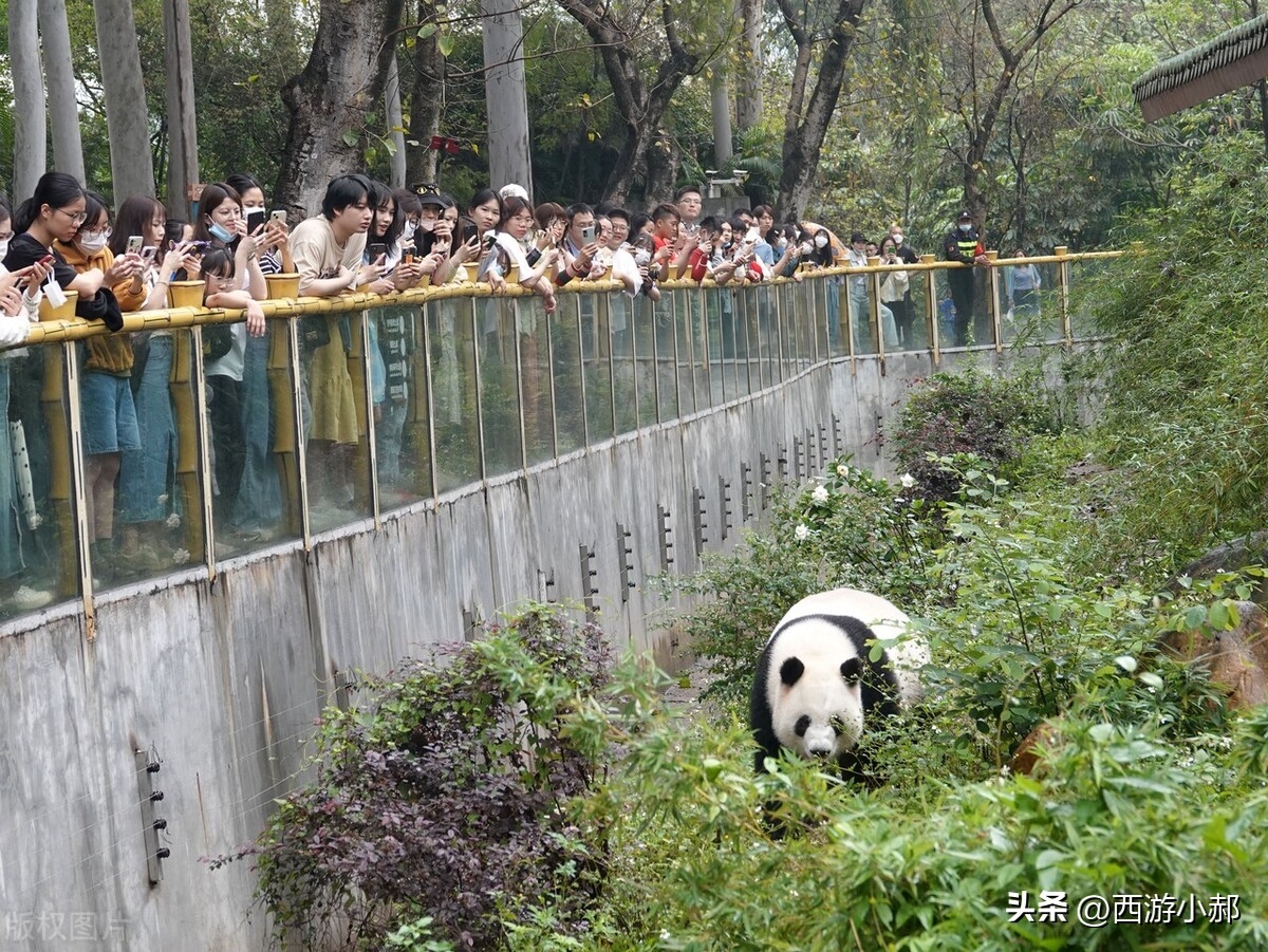 广州白云景点排行榜_广州白云游玩地方_广州白云区哪里好玩的景点