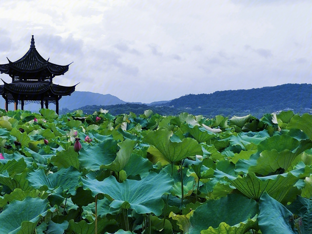 西湖风景区游玩_西湖攻略景区旅游风景_西湖风景区旅游攻略