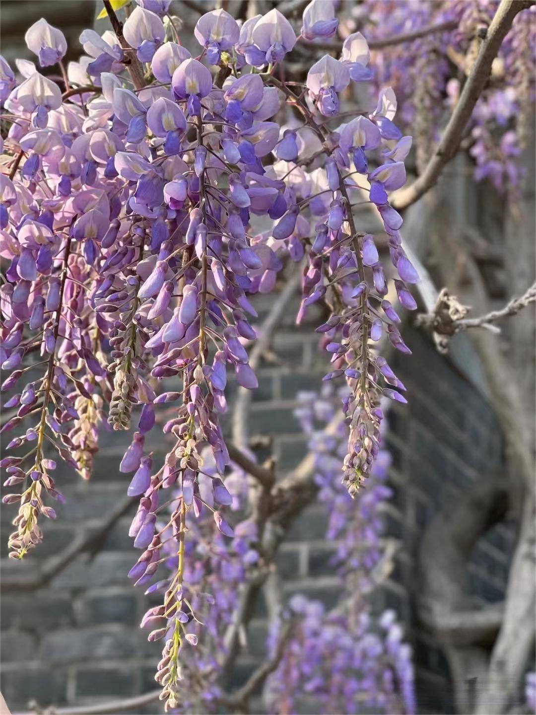 南通有什么好玩的景点_南通好玩景点有哪些_南通好玩景点有几个