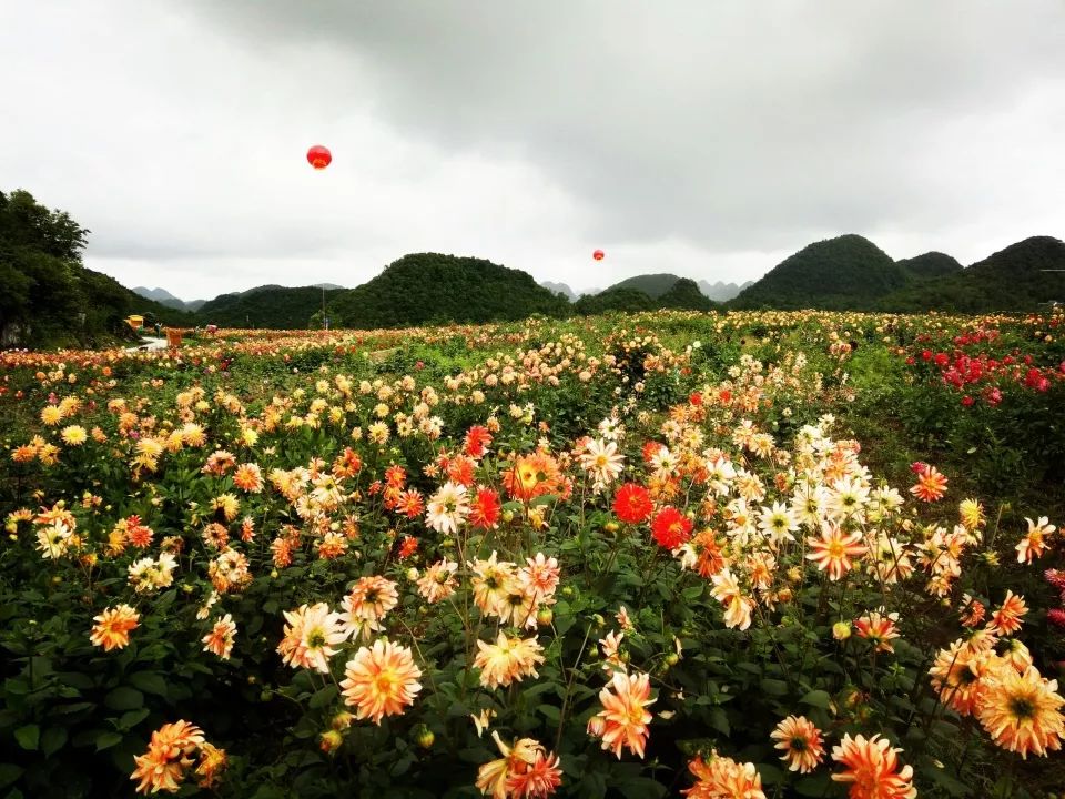 贵阳好玩景点有哪几个地方_贵阳好玩的景点_贵阳好玩景点图片